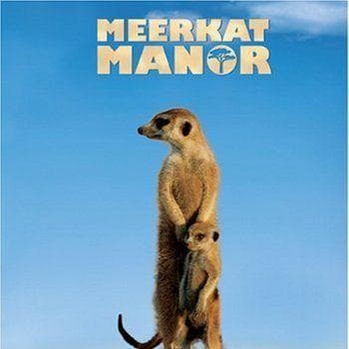 Meerkat Manor